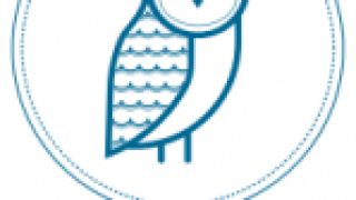 Housekeeper/ Empregada de Limpeza para Alojamento em Cruz Quebrada - Algés.