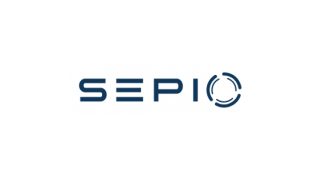 Software Team Leader