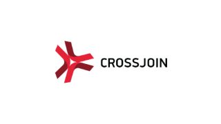 Junior IT Consultant