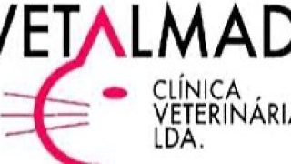 Médico/a Veterinário/a